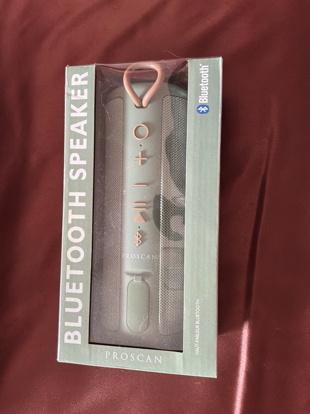 Bluetooth Portable Speaker in Sage Green